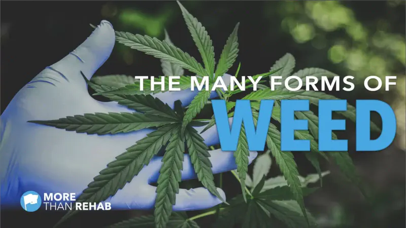 The Many Forms of Weed