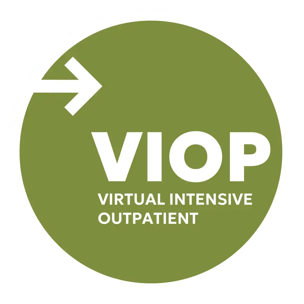 VIOP program icon
